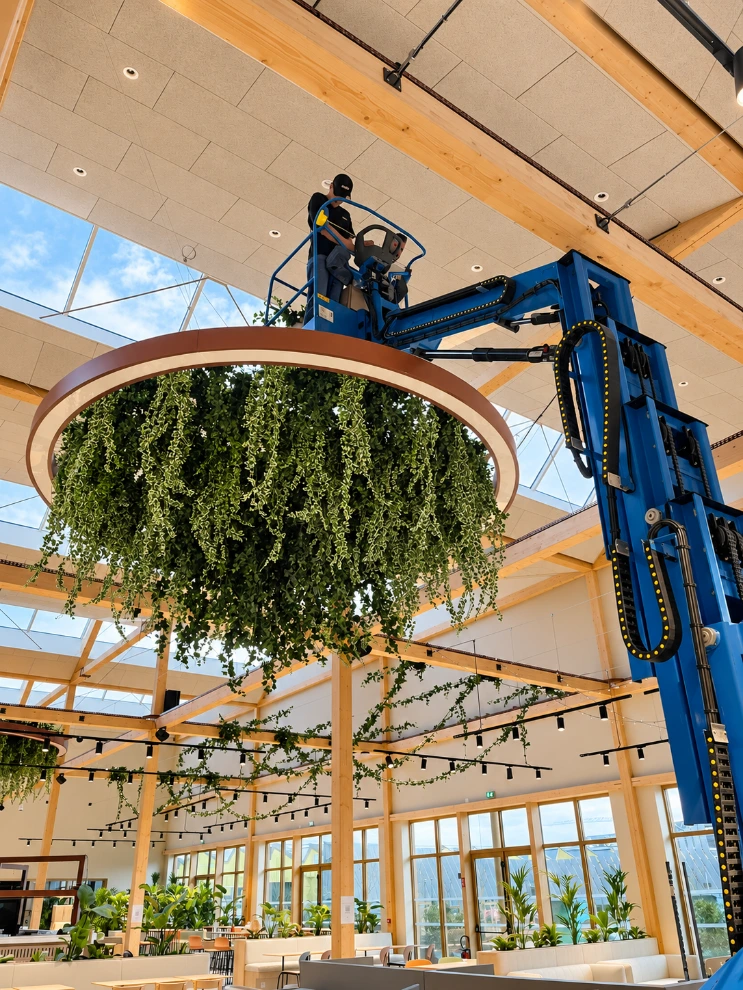 Installation d’une suspension végétale dans les espaces du PIC