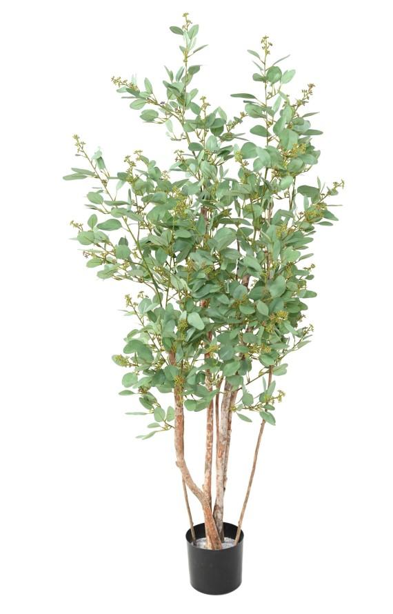 [1353] ARTIFICIEL EUCALYUPTUS CHUTE H81