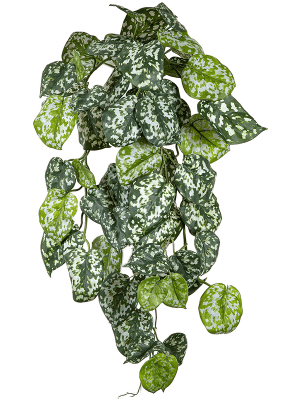 [1449] ARTIFICIEL SCINDAPSUS CHUTE 70CM