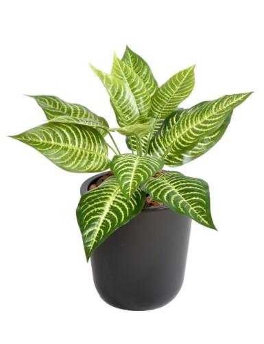 [1294] ARTIFICIEL APHELANDRA PIQUE H30