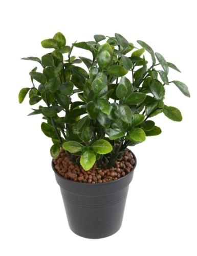 [1306] ARTIFICIEL BERBERIS 28CM