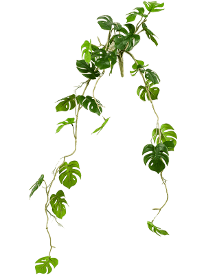 [1410] ARTIFICIEL MONSTERA 80 CM